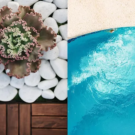 Clara * Playa Blanca (Lanzarote)